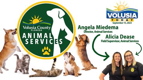 volusia county animal hospital